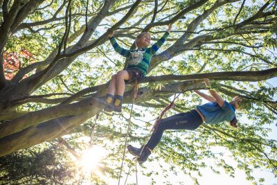 kletternde Kinder im Baum